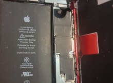 "Apple iPhone 8 Plus" ana platası