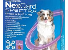NexGard Spectra Dog L