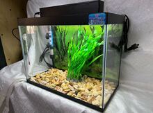 Akvarium 