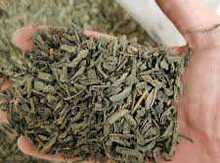 Yaşıl çay "Green Tea"