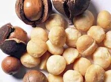 Makadamia fındığı