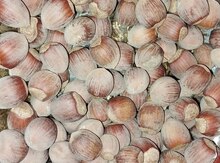 Ordubad fındığı 