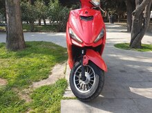 Moped Zaza, 2021 il