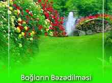 Güllərin əkilməsi