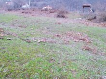 20 sot torpaq sahəsi, İsmayıllı r.