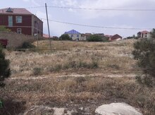 10 sot torpaq sahəsi, Saray qəs.