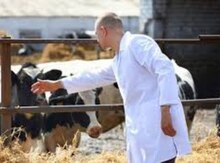 Zootexnik işi axtarıram