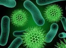 Virus və bakteriyaların müalicəsi