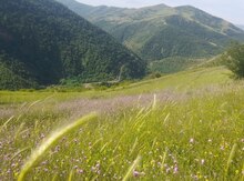 1000 sot torpaq sahəsi, Yardımlı r.