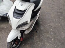 Moped, 2022 il 