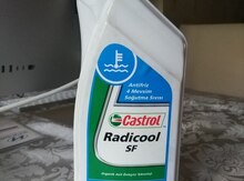Antifriz "Castrol Radicool SF 1L"