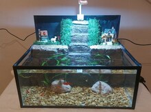 Akvarium