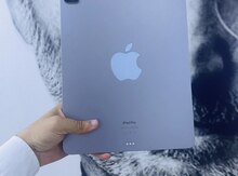 Apple iPad Pro M2 12.9 inch 256 GB WiFi Space Gray