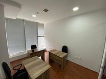 Ofis icarəyə verilir, Gənclik m.