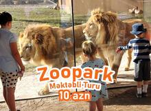 Məktəbli turları 