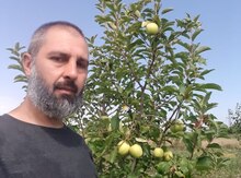 Masajçı işi axtarıram