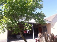 Bağ evi kirayə verilir, Nabran r.