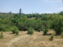 30 sot torpaq sahəsi, Şabran r.