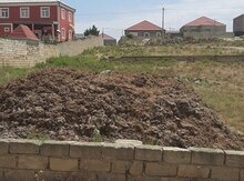 Peyin ehtiyacı olana