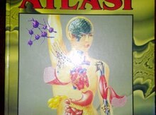 Kitab