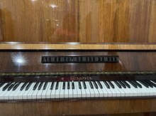 "Belarus" pianosu