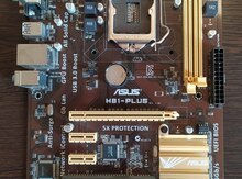 Ana plata "ASUS H81-PLUS"