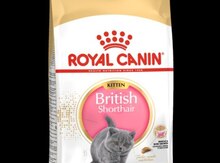 Qida "Royal canin british"