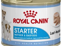 "Royal Canin Starter" paşteti