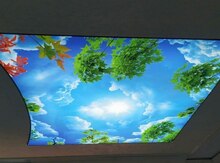 3D, 5D dartma tavanlar