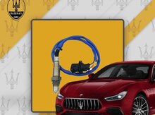 "Maserati" katalizator sensoru