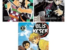 Demon slayer Manga