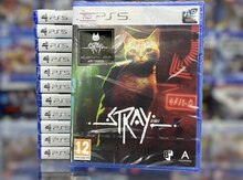 Playstation 5 üçün "Stray" oyunu