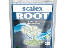 Scalex root