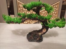 Akvarium bitkisi (bonsai)