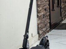 Wingz Falcon Silver