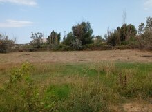 6 sot torpaq sahəsi, Xızı r.