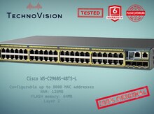 Cisco Catalyst WS 2960S 48TS L