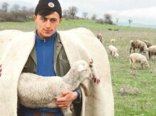 Kənd təsərrüfatı işi axtarıram