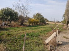 11 sot torpaq sahəsi, Samux r.