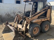 Bobcat
