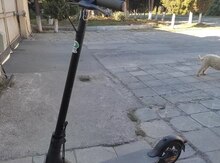 Mi essential scooter 