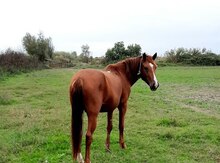 At