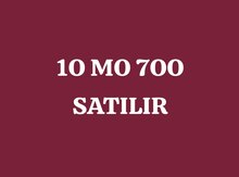 Avtomobil qeydiyyat nişanı "10 MO 700"