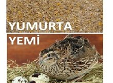 Bildirçin yumurta yemi