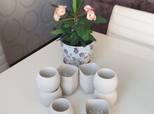 Dibçək qabları