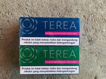 Tütün qızdırıcısı "Terea"