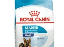 "Royal Canin Maxi Starter Mother & Babydog" qidası