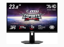 MSI G244F 24 Inch FHD Gaming Monitor