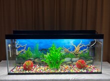 Akvarium 