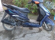 Moped, 2008 il 